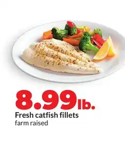Hy-Vee Fresh catfish fillets offer