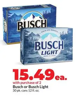 Hy-Vee Busch or Busch Light offer