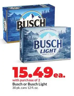 Hy-Vee Busch or Busch Light offer