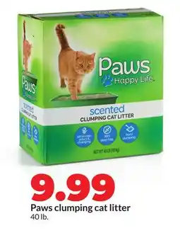 Hy-Vee Paws clumping cat litter offer