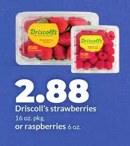 Hy-Vee Driscoll's strawberries 16 oz. pkg. or raspberries 6 oz offer