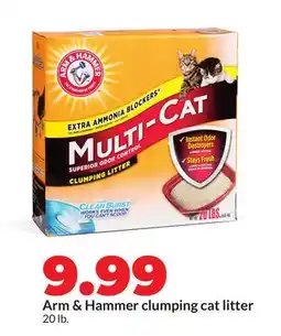 Hy-Vee Arm & Hammer clumping cat litter offer