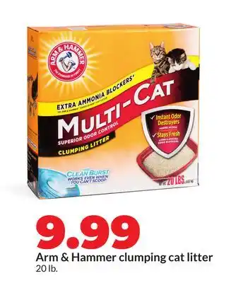 Hy-Vee Arm & Hammer clumping cat litter offer