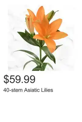 Costco 40-stem Asiatic Lilies offer