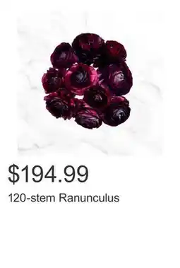 Costco 120-stem Ranunculus offer