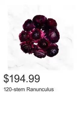 Costco 120-stem Ranunculus offer