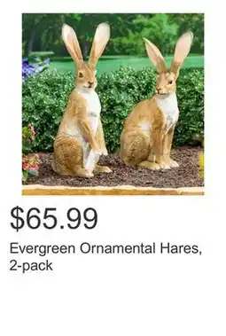 Costco Evergreen Ornamental Hares, 2-pack offer