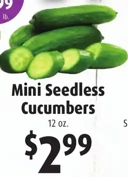 Gristedes Mini seedless cucumbers offer