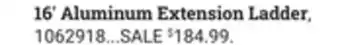 Ace Hardware 16' Aluminum Extension Ladder offer