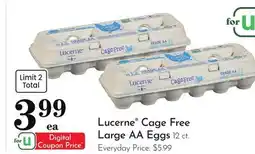 Pavilions Lucerne Cage Free Large AA Eggs offer