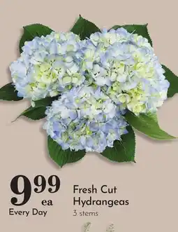 Pavilions Fresh Cut Hydrangeas offer