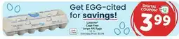 Vons Lucerne Cage Free Large AA Eggs offer