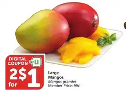 Albertsons Large Mangos offer