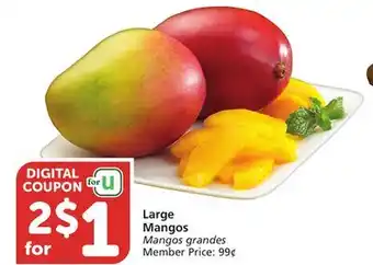Albertsons Large Mangos offer