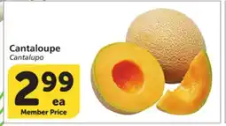 Albertsons Cantaloupe offer