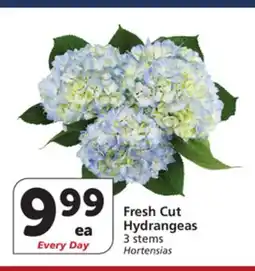 Vons Fresh Cut Hydrangeas offer