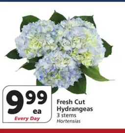 Albertsons Fresh Cut Hydrangeas offer