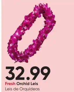Stater Bros Fresh Orchid Leis offer