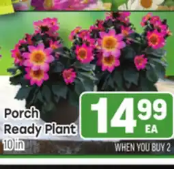 Tony’s Fresh Market Porch Ready Plant offer