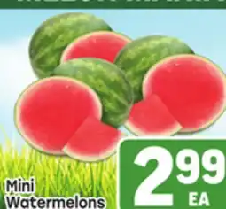 Tony’s Fresh Market Mini Watermelons offer