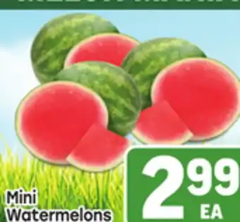 Tony’s Fresh Market Mini Watermelons offer