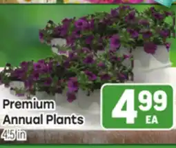 Tony’s Fresh Market Premium Annual Plants offer