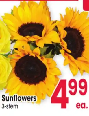 Jewel-Osco Sunflowers offer