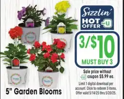 Jewel-Osco 5 Garden Blooms offer