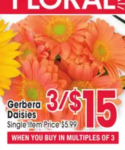 Jewel-Osco Gerbera Daisies offer