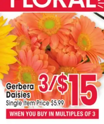 Jewel-Osco Gerbera Daisies offer