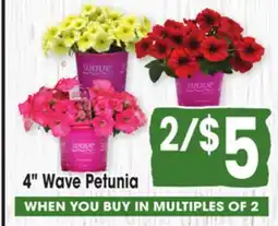 Jewel-Osco 4 Wave Petunia offer