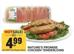 Food Lion Nature's Promise Chicken Tenderloins offer