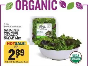 Food Lion Nature's Promise Organic Salad Mix offer