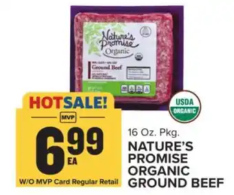 Food Lion Nature's Promise Organic Ground Beef offer