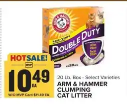 Food Lion Arm & Hammer Clumping Cat Litter offer