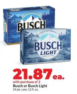 Hy-Vee Busch or Busch Light offer