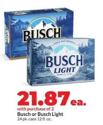 Hy-Vee Busch or Busch Light offer