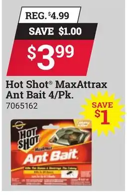 Ace Hardware Hot Shot MaxAttrax Ant Bait offer