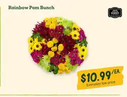 Sprouts Farmers Market Rainbow Pom Bunch offer