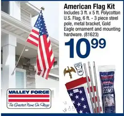 Ace Hardware American Flag Kit offer