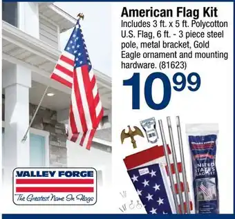 Ace Hardware American Flag Kit offer