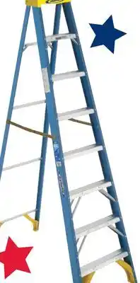 Ace Hardware 8' Type I Fiberglass Stepladder, 250 Lb offer