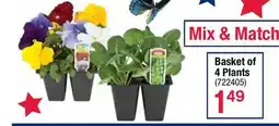 Ace Hardware Basket of 4 Plants offer
