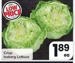 Albertsons Crisp Iceberg Lettuce offer