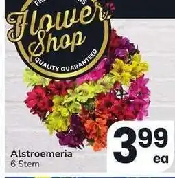 Albertsons Alstroemeria - 6 Stem offer