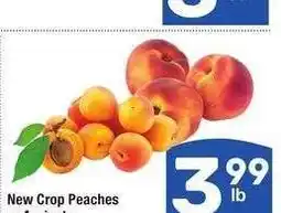 Albertsons New Crop Peaches or Apricots offer