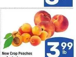 Albertsons New Crop Peaches or Apricots offer