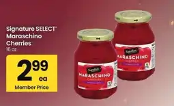 Albertsons Signature SELECT Maraschino Cherries - 16 oz offer