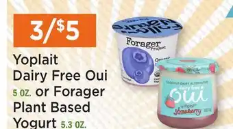 Heinen's Yoplait Dairy Free Oui 5 OZ. or Forager Plant Based Yogurt 5.3 OZ offer