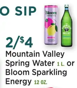 Heinen's Mountain Valley Spring Water 1 L. or Bloom Sparkling Energy 12 OZ offer